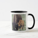 Suche nach yellowstone national park tassen Bison