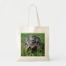 Suche nach schildkröte taschen Für alle