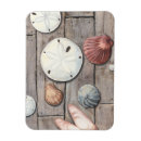 Suche nach sanddollar magnete Meer
