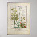 Suche nach robinet poster Heilend