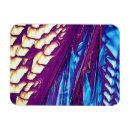 Suche nach naturwissenschaft magnete Mikrografie