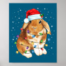 Suche nach lustige kaninchen poster Weihnachten