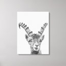 Suche nach für ziege poster leinwandbilder Weiß