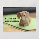 Suche nach dackel liebe postkarten Hund