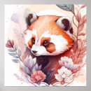 Suche nach red panda poster Natur