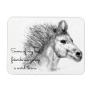 Suche nach schönes pferd magnete Wildpferd