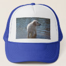Suche nach labrador blau kappen Tiere