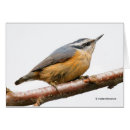 Suche nach breasted karten Natur