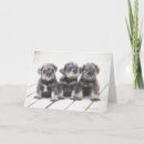 Suche nach zusammengehörigkeit karten Tier