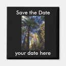 Suche nach alter baum save the date Bäume