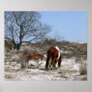 Suche nach mutter und baby poster Jede person