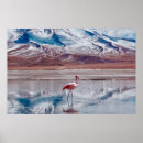 Suche nach bolivien Uyuni
