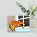 Suche nach lilium postkarten Tiger