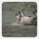 Suche nach kenia aufkleber Horizontal