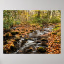 Suche nach blauer wald poster Wildblume