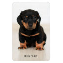 Suche nach fun magnete Niedlich