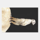 Suche nach meerkat geschenkpapier Für alle