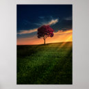 Suche nach tree poster Nature