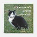 Suche nach weisheit magnete Katze