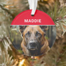 Suche nach malinois ornamente Haustiere