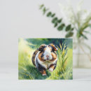 Suche nach cavy postkarten Haustier