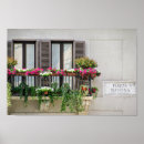 Suche nach fensterläden poster Blume
