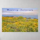 Suche nach monterey poster Natur