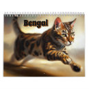 Suche nach bengalische katze Tier