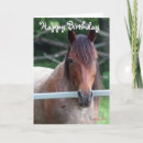 Suche nach stuten karten Für sie