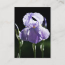 Suche nach iris visitenkarten Quelle