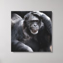 Suche nach gorilla leinwandbilder Foto