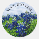 Suche nach texan aufkleber Bluebonnet