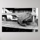 Suche nach cowboystiefel poster Land