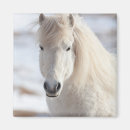 Suche nach weißes pferd magnete Schnee