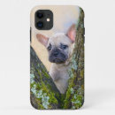 Suche nach französische bulldoggen iphone hüllen Lustig