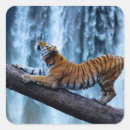 Suche nach majestic aufkleber Natur