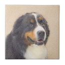 Suche nach bernese Hund