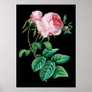 Suche nach black rose poster Schwarz