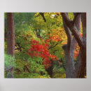 Suche nach arashiyama poster Jahreszeit