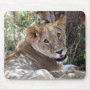 Suche nach afrikanischer löwe mousepads Katze