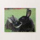 Suche nach tierphotographie Häschen