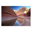 Suche nach coyote poster Landschaft
