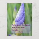 Suche nach rumi zitate postkarten Inspirierend