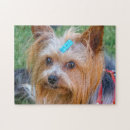 Suche nach yorkie puzzle Terrier