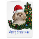 Suche nach shitzu karten Spaß