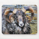 Suche nach keine schuhe mousepads Jede person