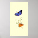 Suche nach vintage butterfly poster Blau