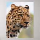 Suche nach fleischfresser poster Große katze
