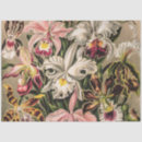 Suche nach die orchidee Blumenreich