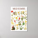 Suche nach kräuter leinwandbilder Blume